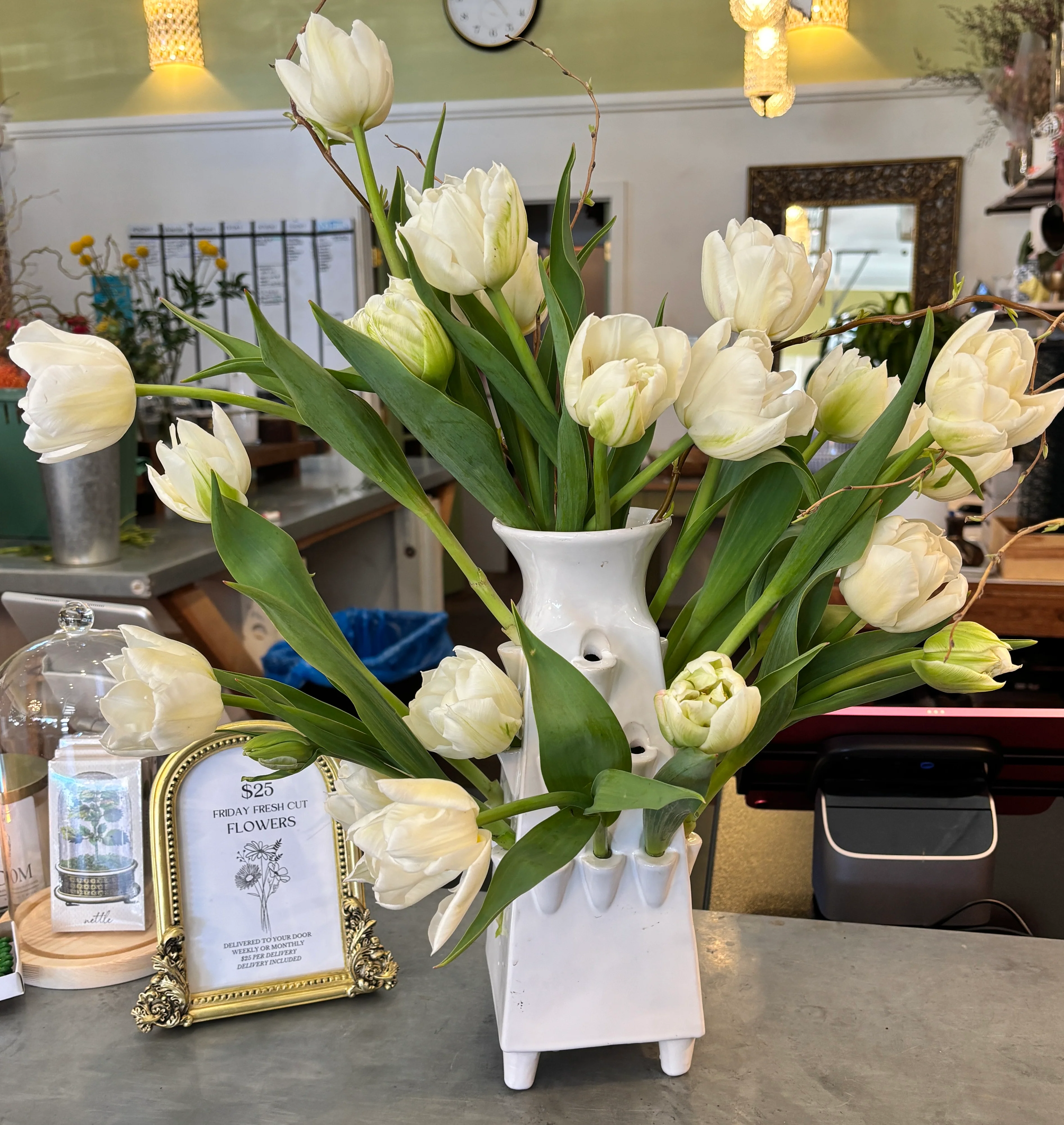 Aptos Tulipierre, Ceramic Vase