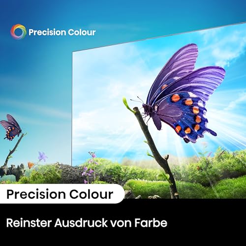 Hisense 43E6NT 108cm (43 Zoll) Fernseher, 4K UHD Smart TV, Precision Colour, HDR, Dolby Vision, 60Hz, Triple Tuner DVB-C/S/S2/T/T2, WiFi, HDMI 2.1, Bluetooth, Alexa Built-in, Schwarz, [2024]