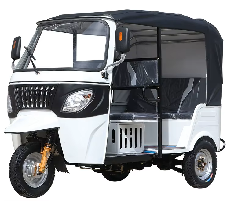 Electric tricycle DAYANG-Bajaj