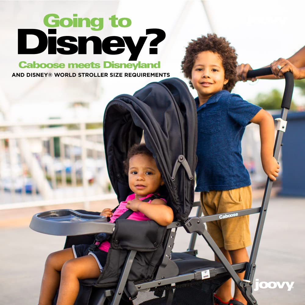 2025 Silla de Paseo Joovy Caboose Graphite Appletree – Cochecito Doble Compacto y Versátil