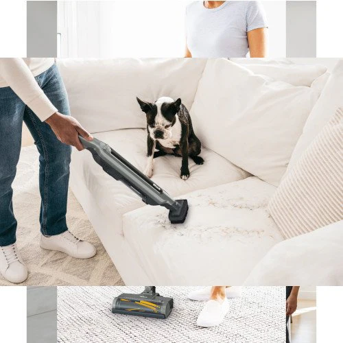2025 Aspiradora de Mano Inalámbrica 2-en-1 Shark® WandVac™ WV361UK [Batería Simple]