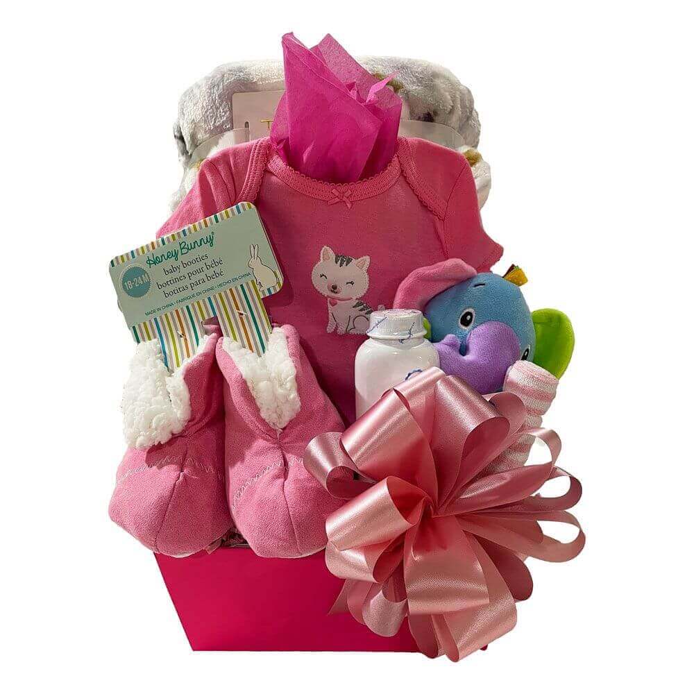 It's A Girl Gift basket