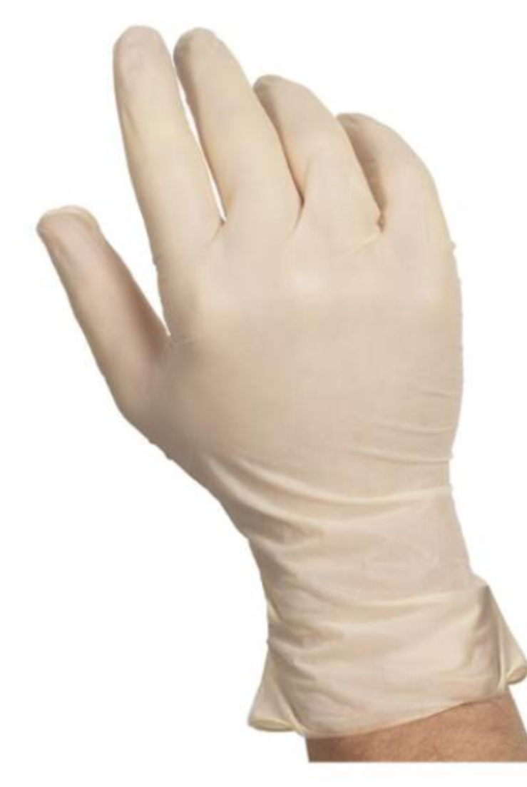 Disposable Latex Gloves  | 100 PACK Powder Free SHIPS TODAY 15035