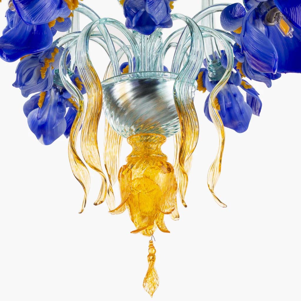 Iris Medusa