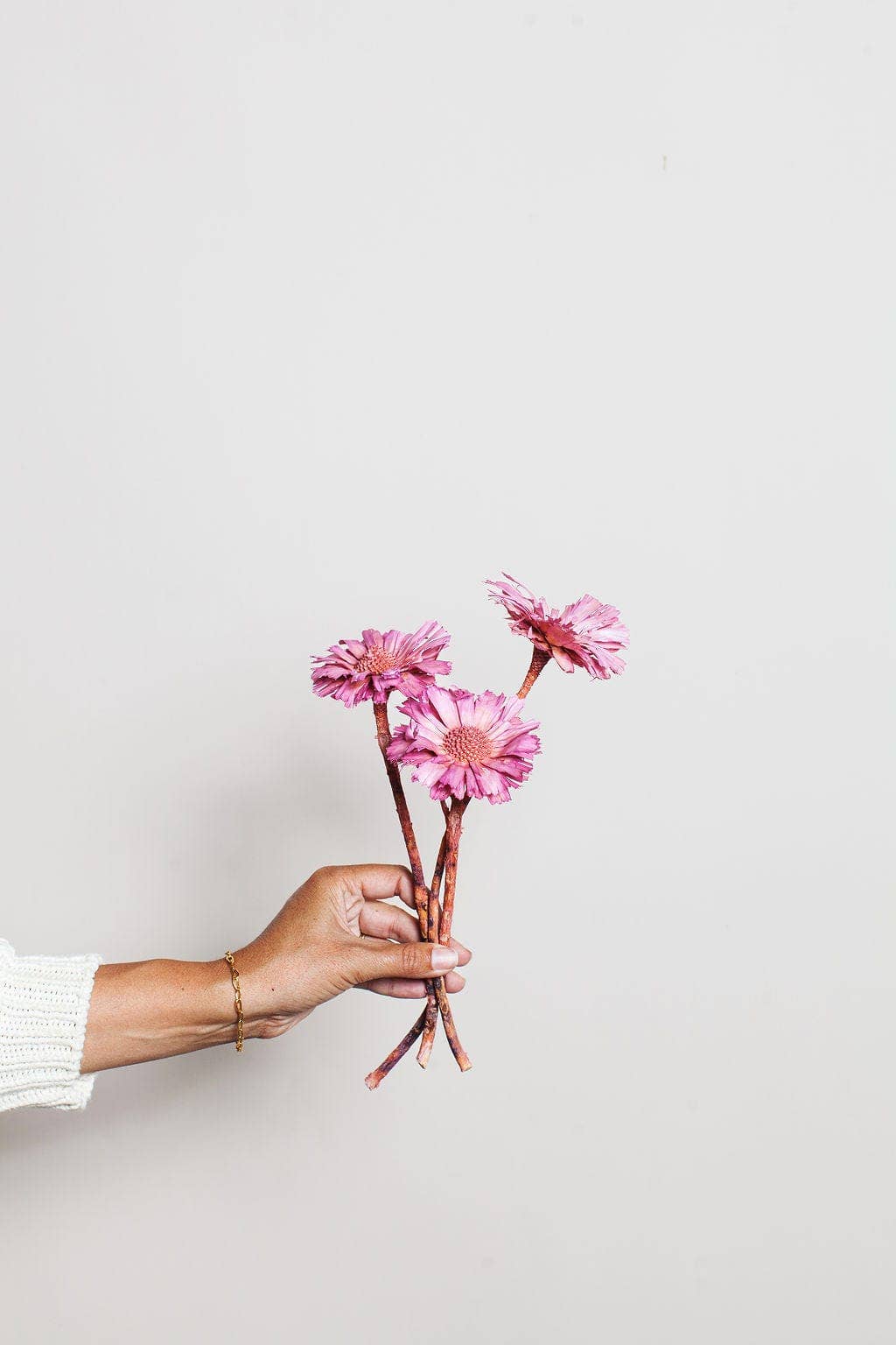 Pink Dried Protea Rosettes IDLEWILD
