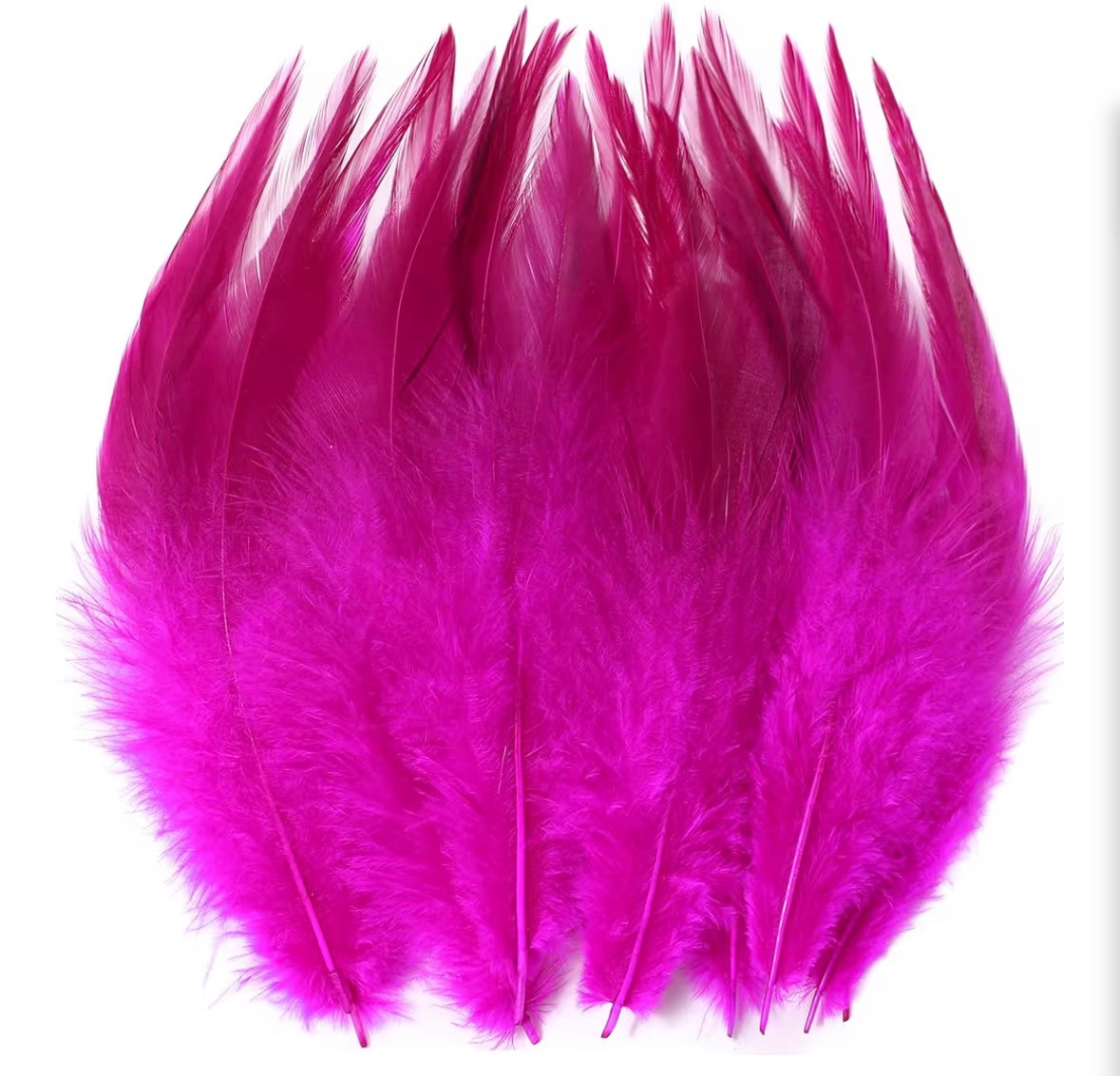 Feathers Bulk 5�� 200PCS Saddle Feathers 5804