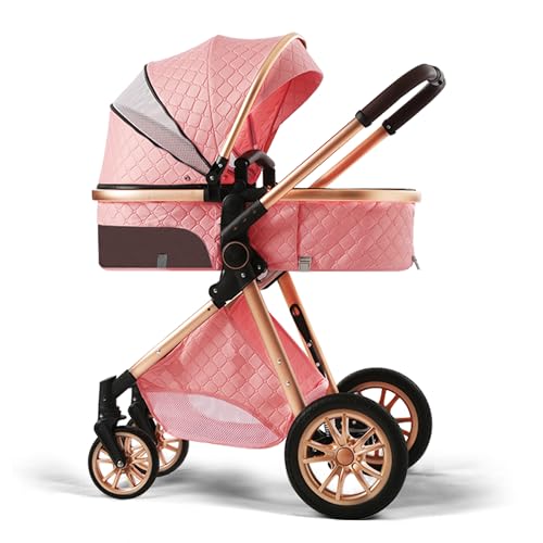 Stroller Pushchair Landscape Reversible Reclining
