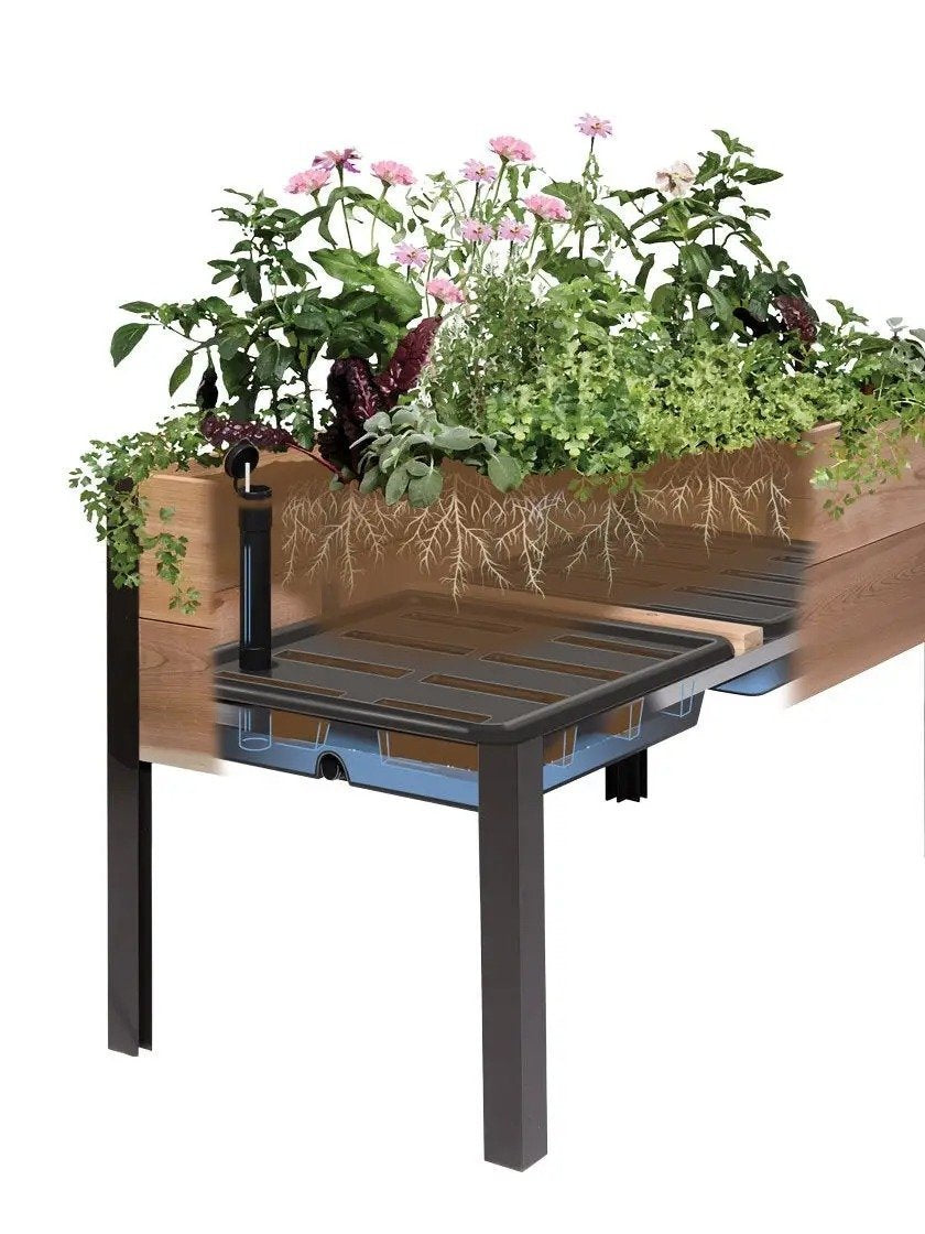 2025 Caja Elevada Auto-Riego Eco-Tintada – Oferta Especial del Día