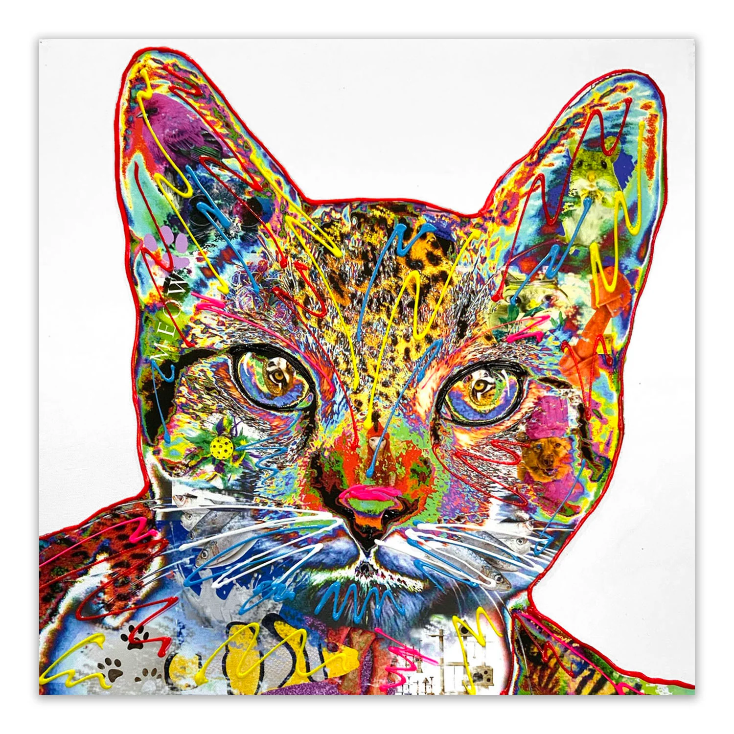 Cats Eyes