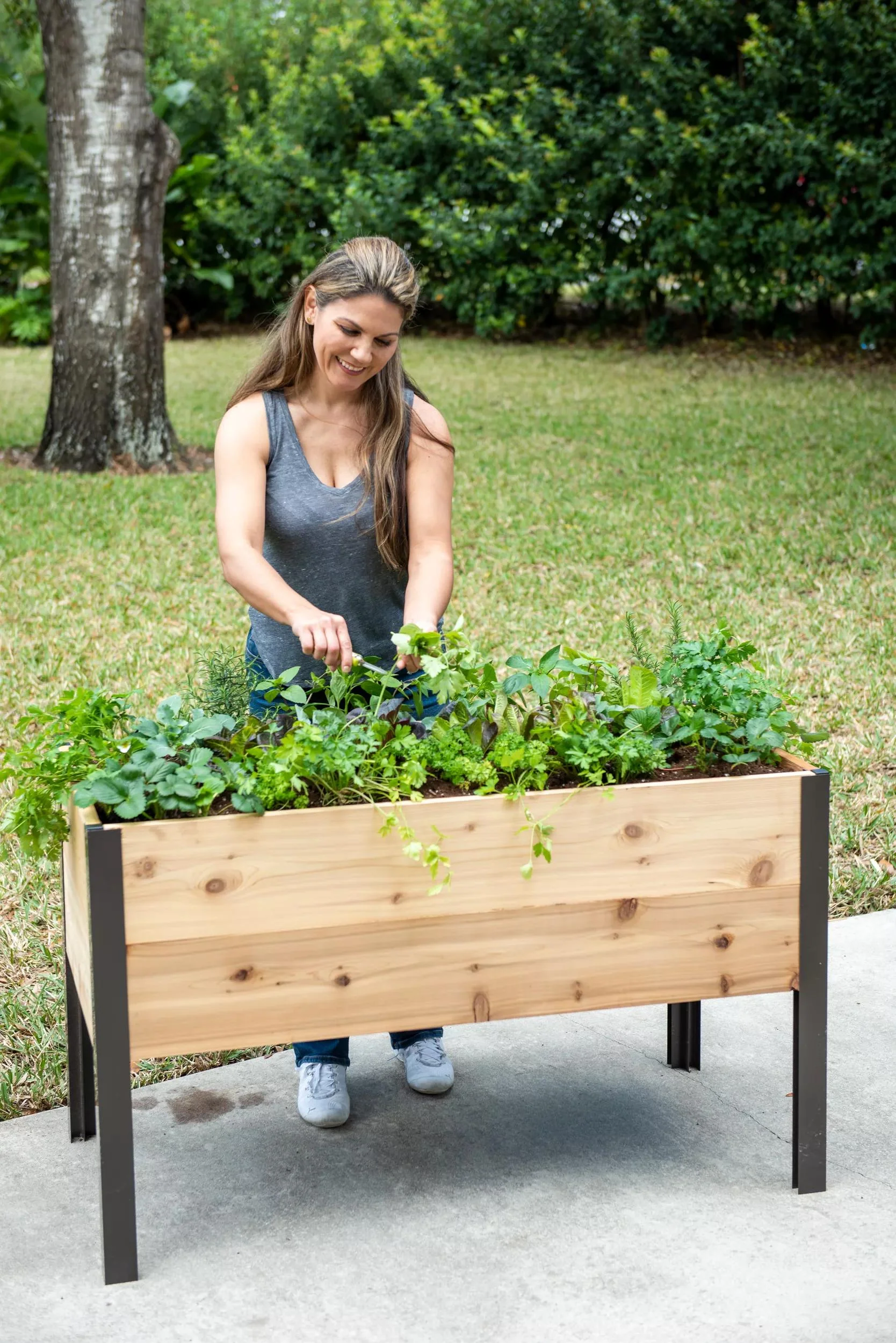 2026 Nuevo Self-Watering Elevated Cedar Planter Box 2 x 4