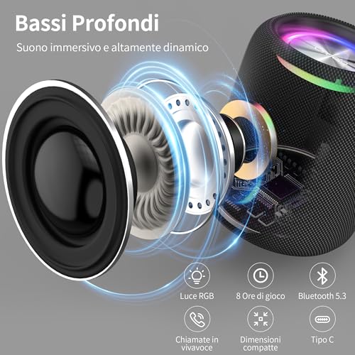 oraolo Cassa Bluetooth, Speaker Bluetooth BT5.3 Con Luci RGB, Impermeabile IPX6, Riproduzione di 12 Ore Supporta TF, USB, Speaker Bluetooth Portatile per Casa, Ciclismo, Festa : Elettronica
