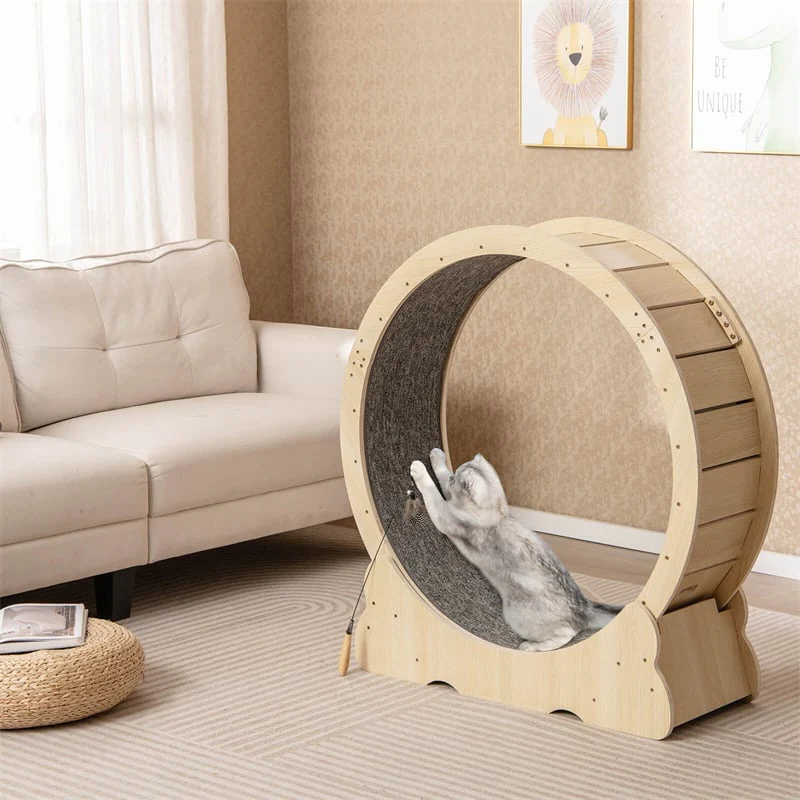 40" Large Cat Exercise Wheel for Indoor Cats, Low Noise Cat Treadmill with Lockable Mechanism, Carpeted Runway & Teasing Toy for Kitty Fitness