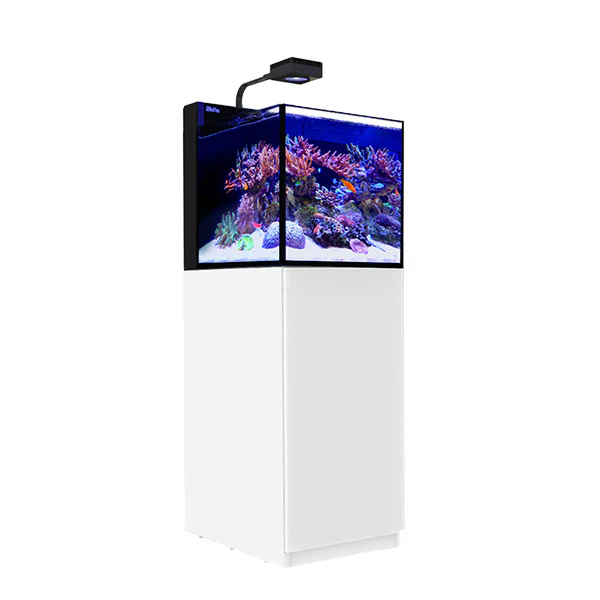 MAX NANO Peninsula G2
