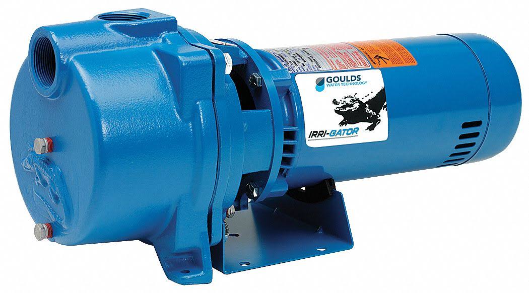Goulds GT15 1.5 HP Self-Priming Centrifugal Pump, Single Phase, Blue