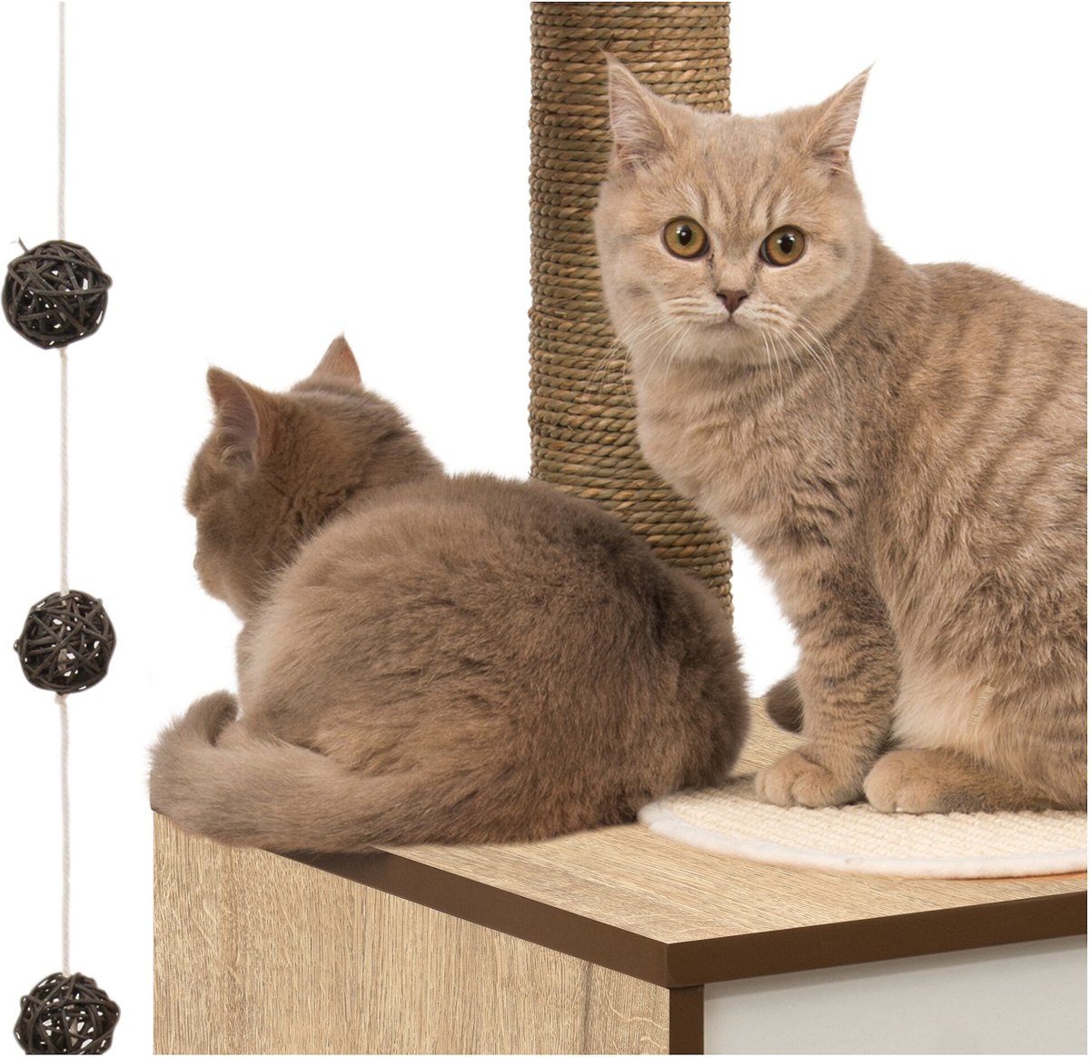 Vesper High Base 47.8-in Modern Cat Tree & Condo