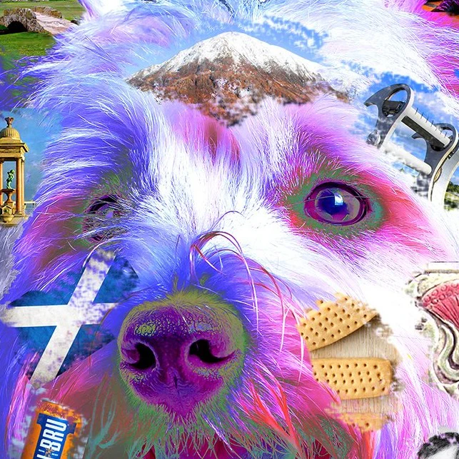 Scottish Westie
