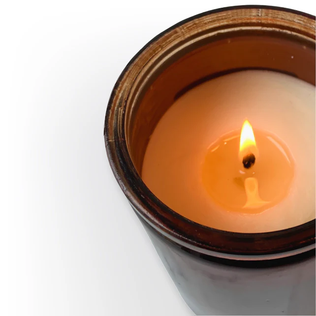 White Birch Soy Candle | Amber Apothecary | Large-14.5 oz.