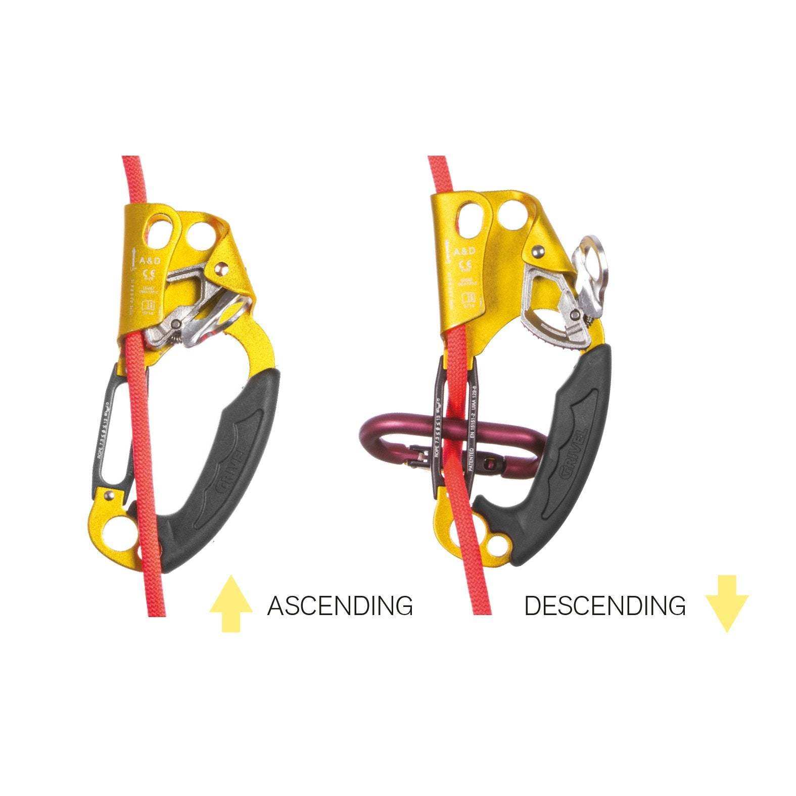 A&D Ascender Descender