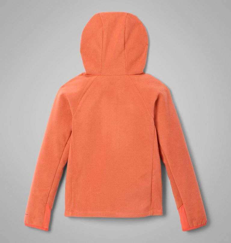 Arctic Peak? Hooded Full Zip