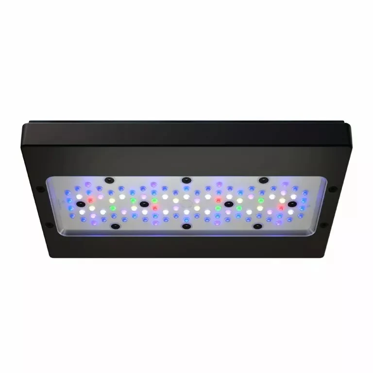 Radion XR30 G6 Pro LED Fixture