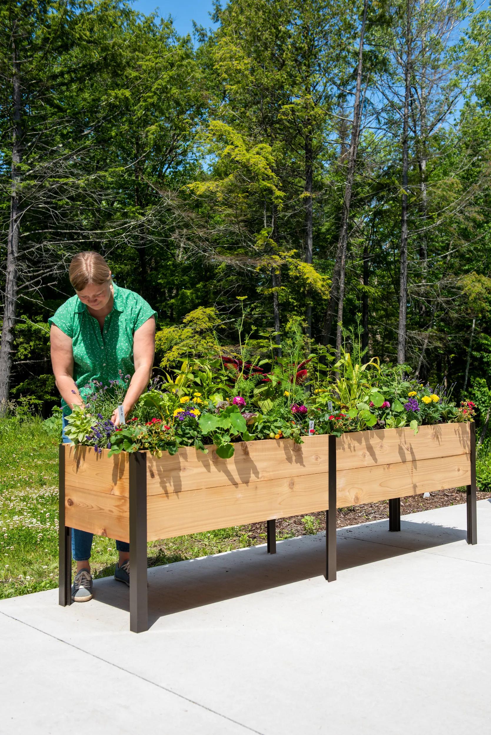 2026 Nuevo Elevated Cedar Planter Box 2 x 8