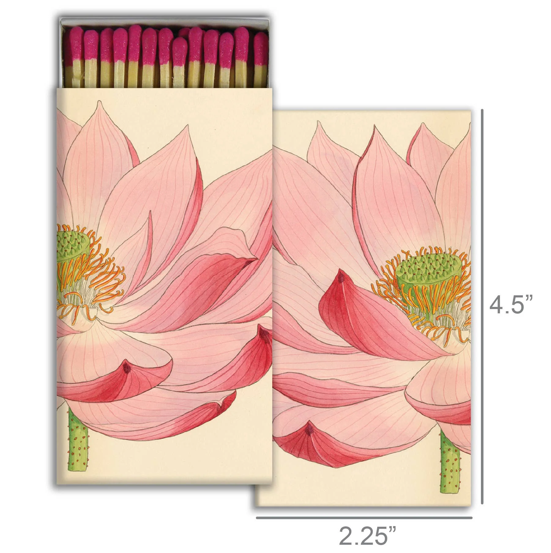 Matches - Pink Water Lily