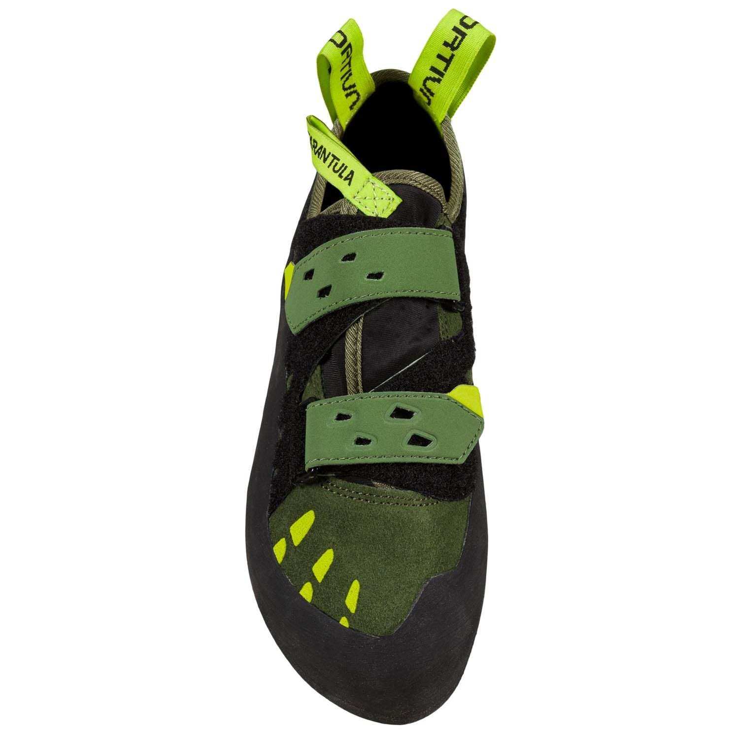 Tarantula, Olive/Neon