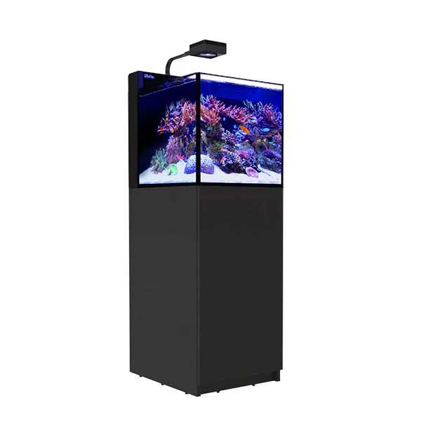 MAX NANO Peninsula G2
