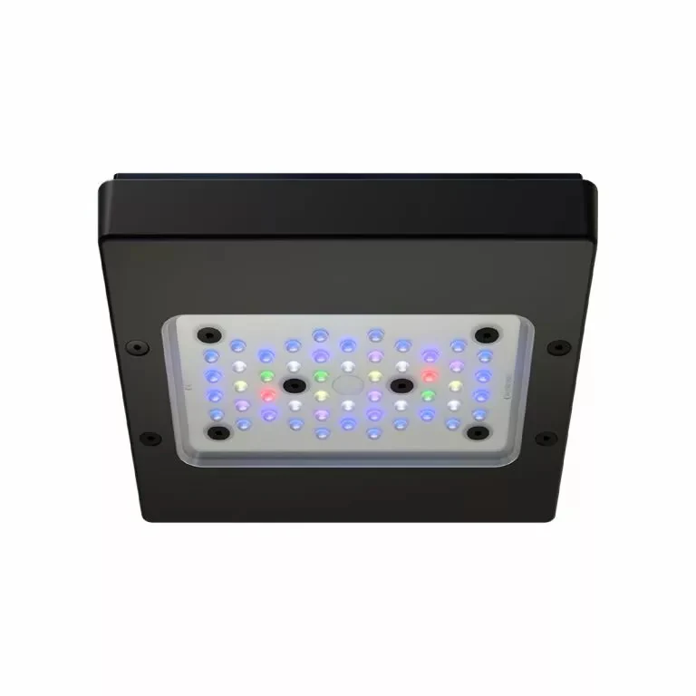 Radion XR15 G6 Pro LED Fixture