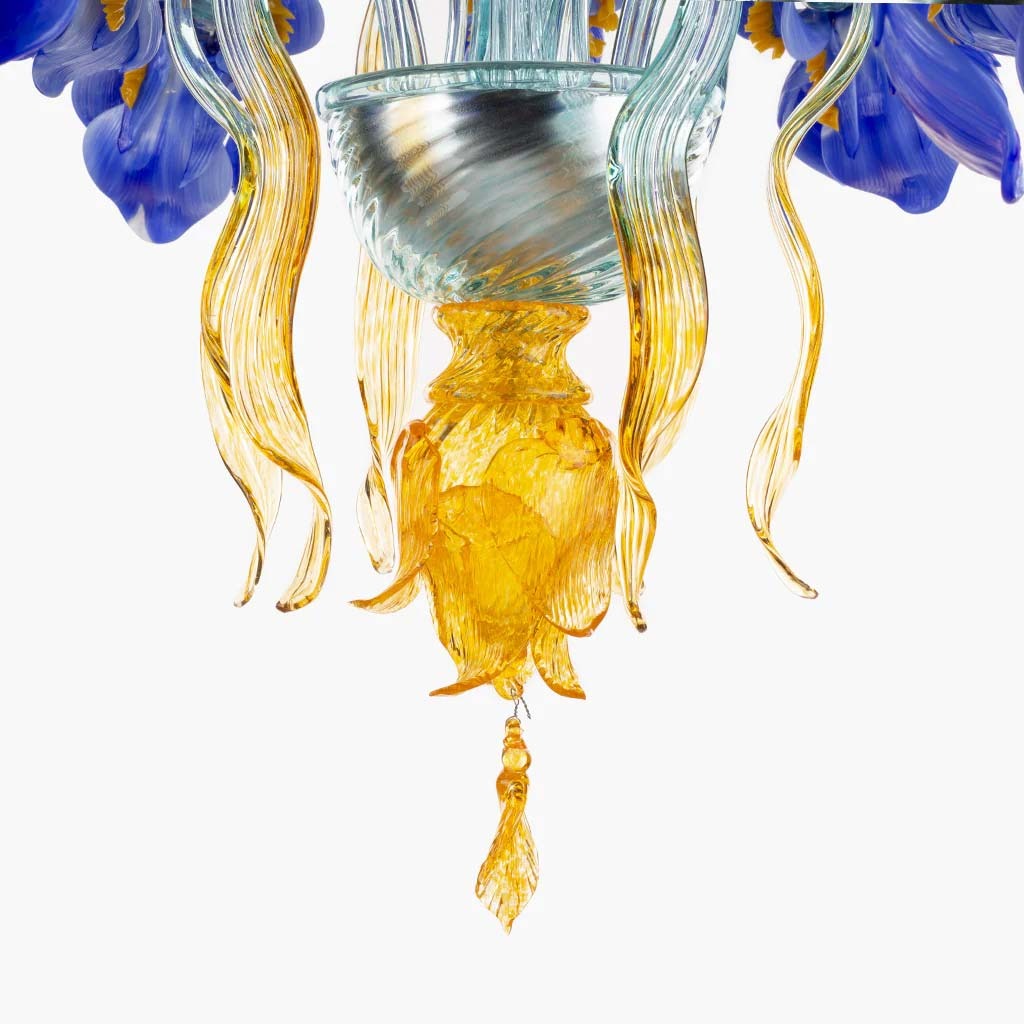 Iris Medusa