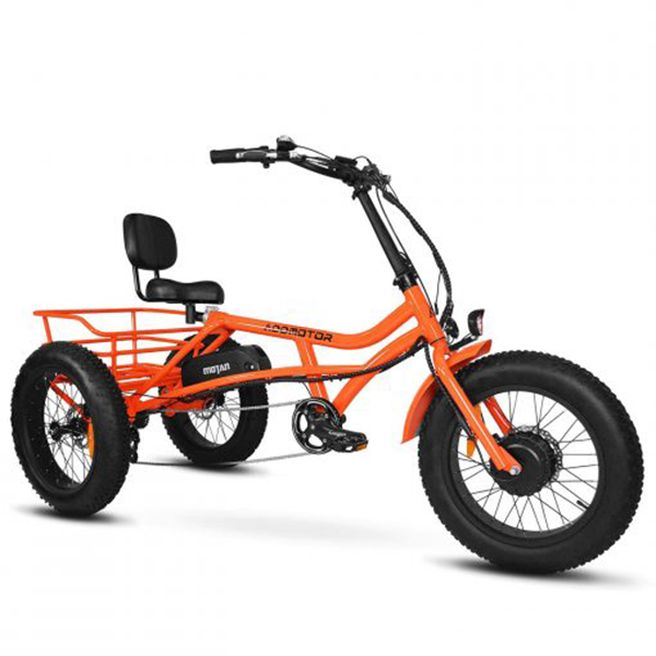 Addmotor Motan Electric Tricycle Adult, 750W 48V 17.5Ah Removable Battery, 20 Inch Fat Tire 3 Wheel Fat Tire Electric Bike, M-360 Electric Tricycle 350 lbs Carry Back Basket and Bag