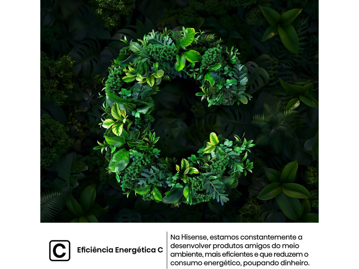 Frigorífico Combinado HISENSE RB5P410SACC (No Frost - 203 cm - Classe C - Inox)