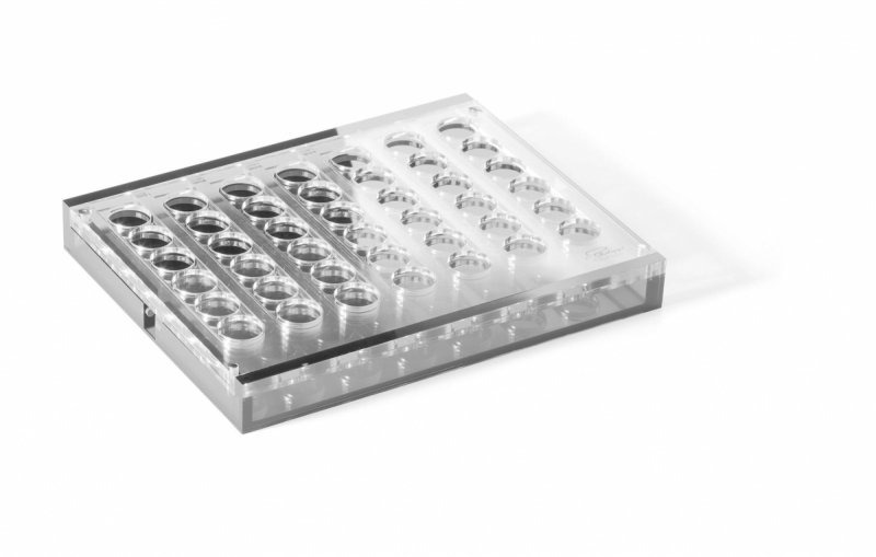 Philippi YAP Zestaw do Gry / Akrylowy