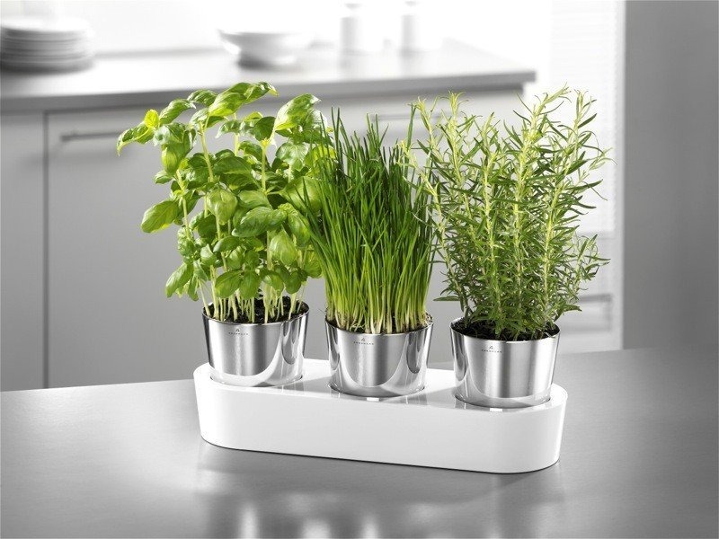 Wmf GOURMET Doniczka na Zioła z Systemem Nawadniającym - Zestaw do Uprawy Ziół