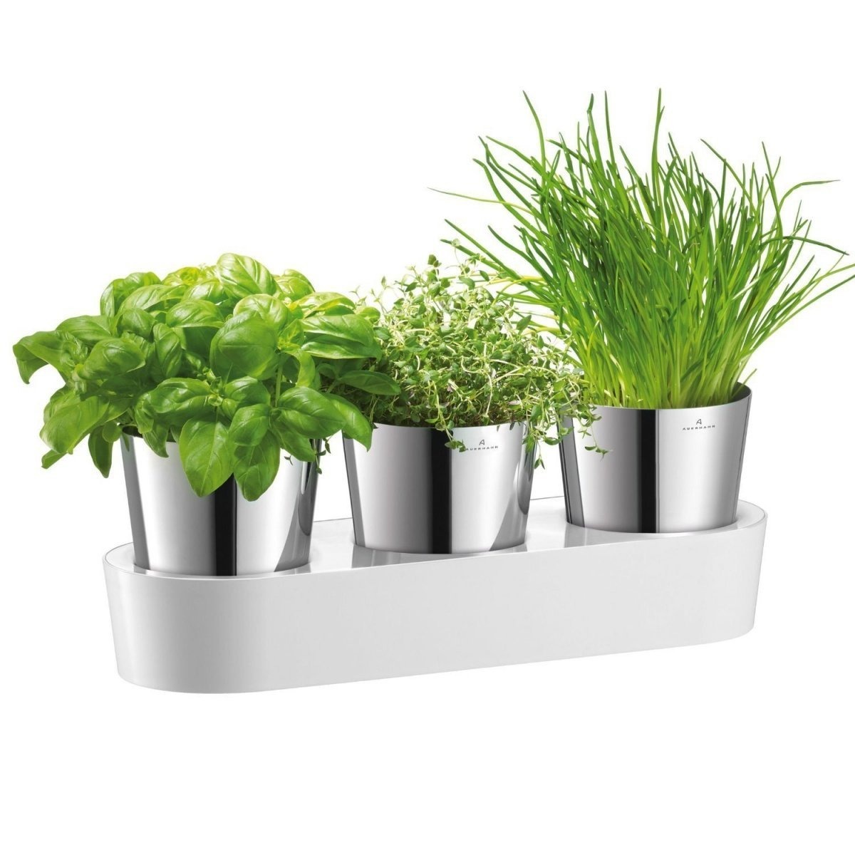 Wmf GOURMET Doniczka na Zioła z Systemem Nawadniającym - Zestaw do Uprawy Ziół