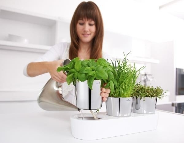 Wmf GOURMET Doniczka na Zioła z Systemem Nawadniającym - Zestaw do Uprawy Ziół