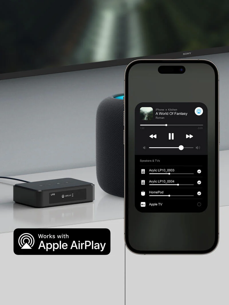 LP10 AirPlay 2 and Google Cast Music Streamer