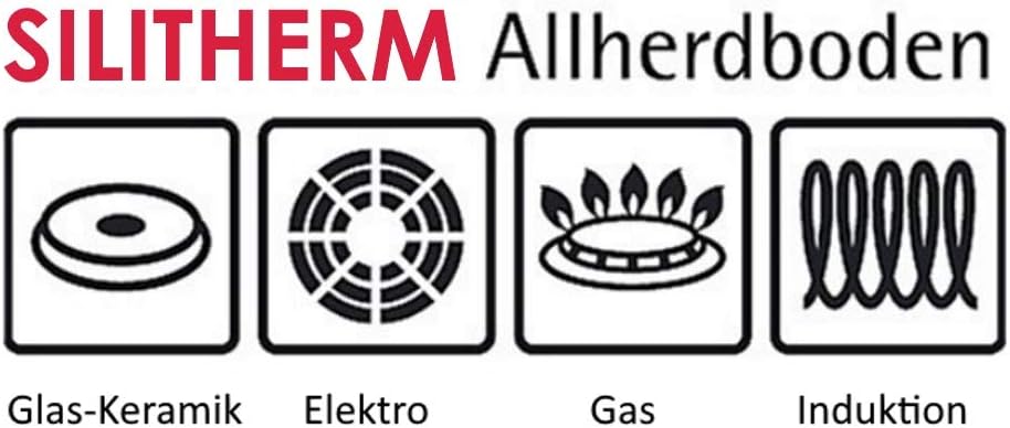 Silit Alicante Zestaw Garnków Indukcyjnych, Srebrny, 10 części