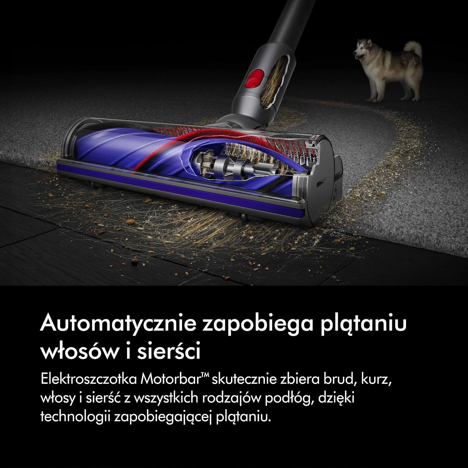 Bezprzewodowy odkurzacz pionowy Dyson V8™ Advanced (Srebro/Nikiel)
