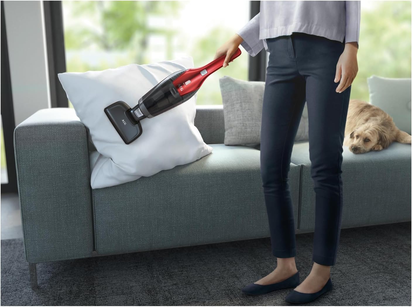 Aeg Animal Odkurzacz, Czerwony, 18.0W 230.0V