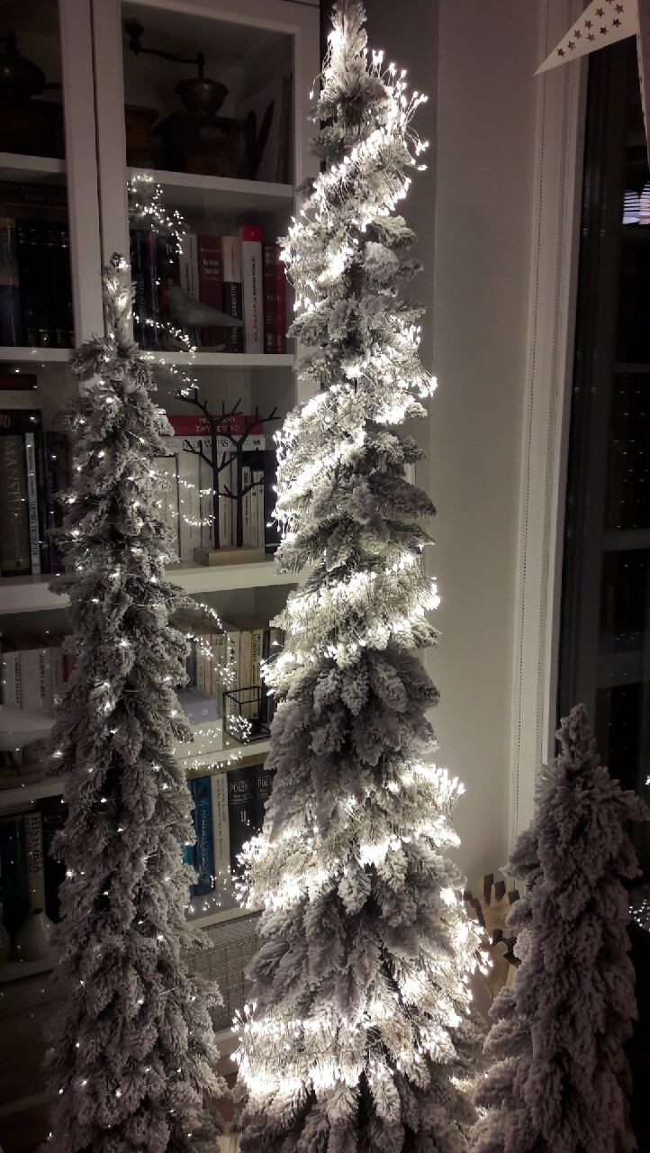 Komplet 3 choinki premium świerk tatrzański slim 180 150 120 cm komplet