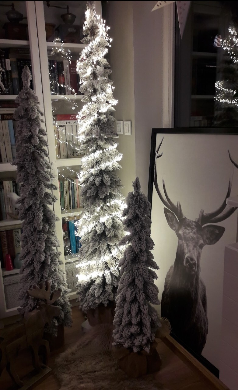 Komplet 3 choinki premium świerk tatrzański slim 180 150 120 cm komplet