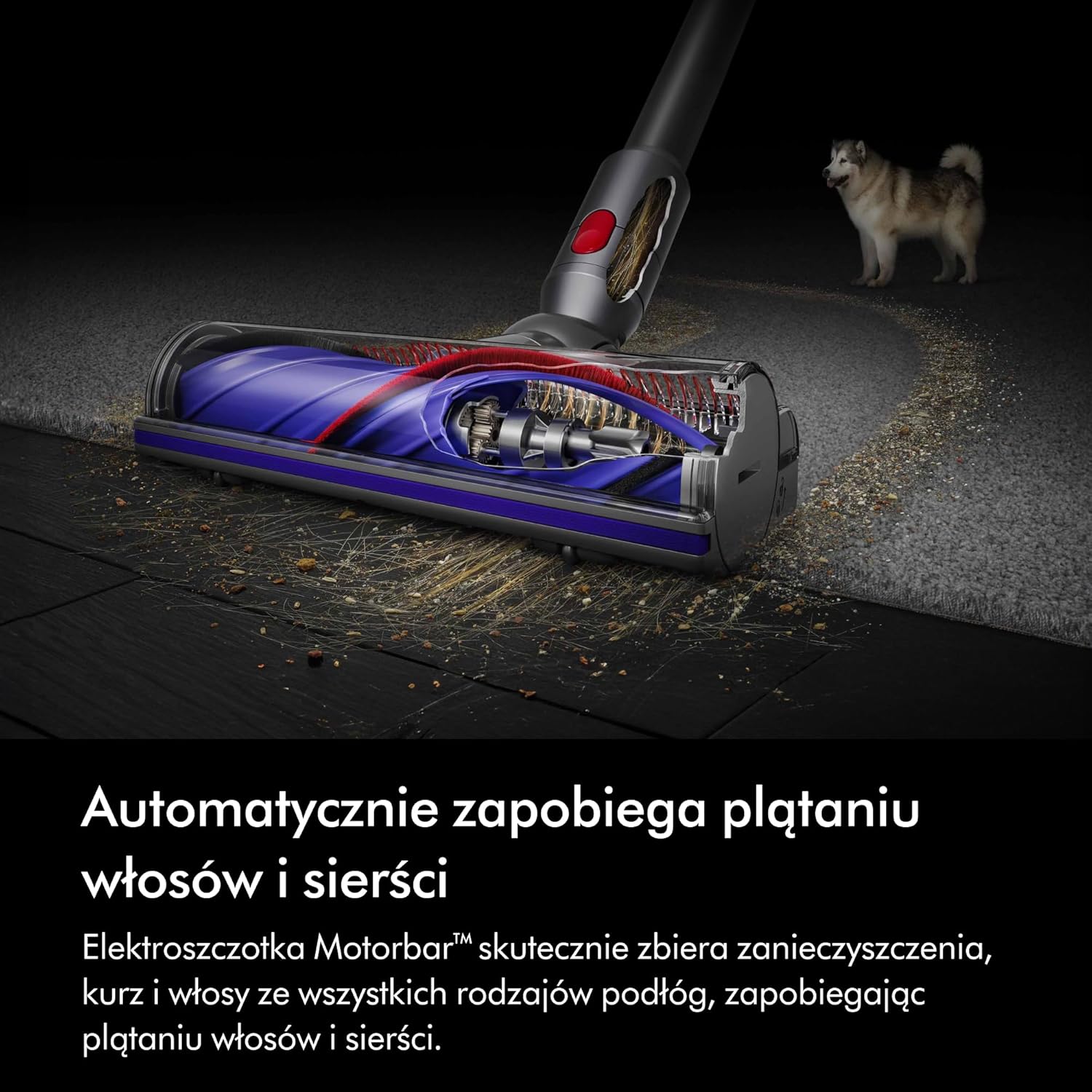 Bezprzewodowy odkurzacz pionowy Dyson V8™ Advanced (Srebro/Nikiel)