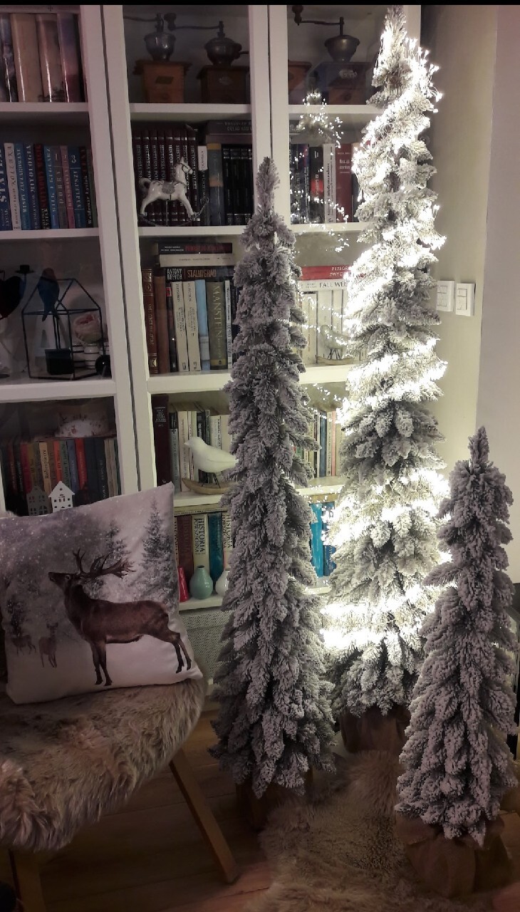 Komplet 3 choinki premium świerk tatrzański slim 180 150 120 cm komplet