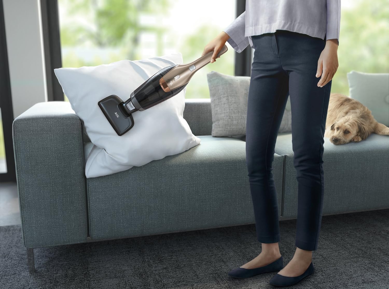 Aeg Animal Odkurzacz, Czerwony, 18.0W 230.0V