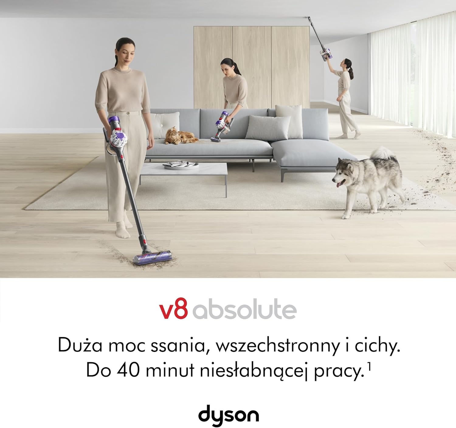 Bezprzewodowy odkurzacz pionowy Dyson V8™ Advanced (Srebro/Nikiel)