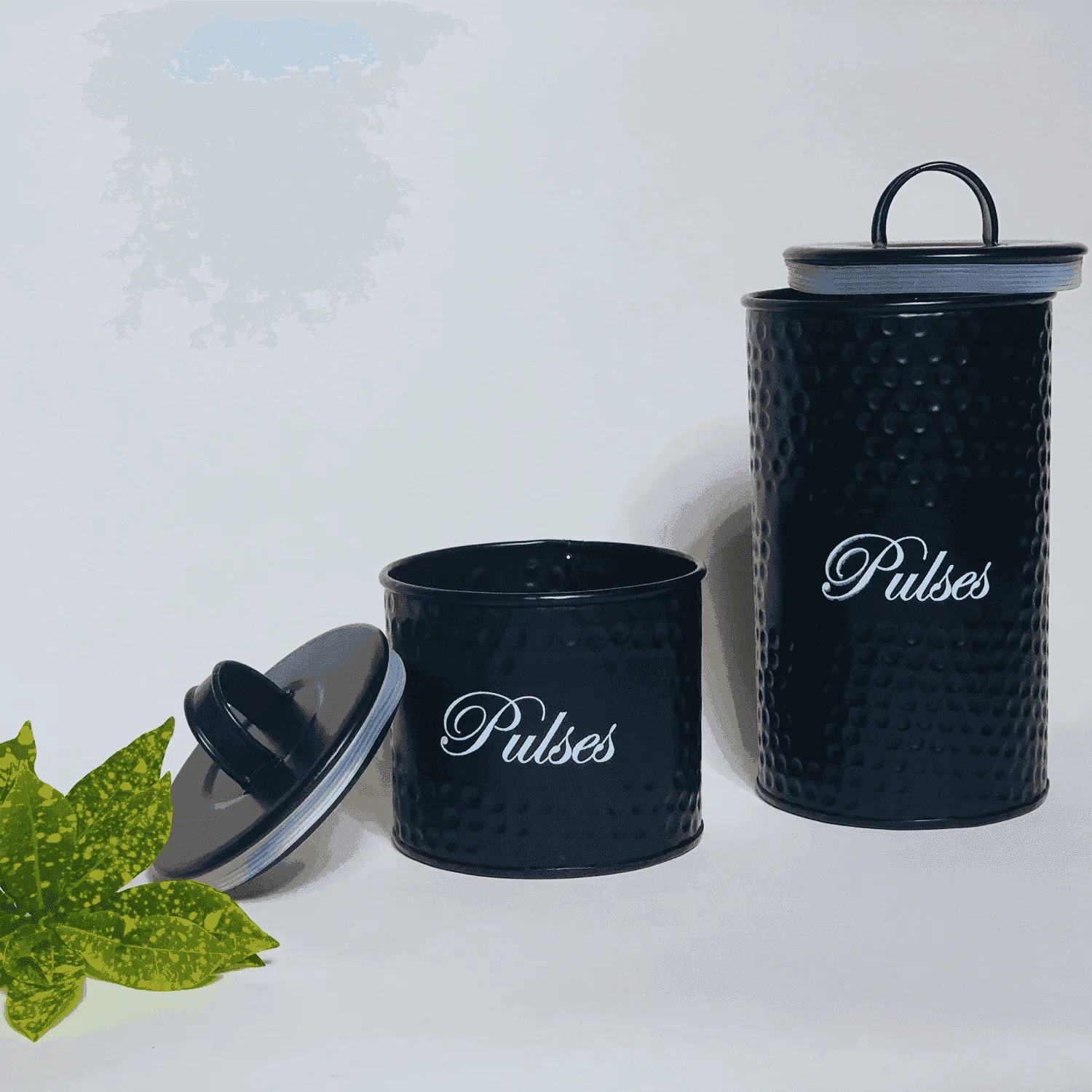 Metal Pulses Storage container (Set of Two)