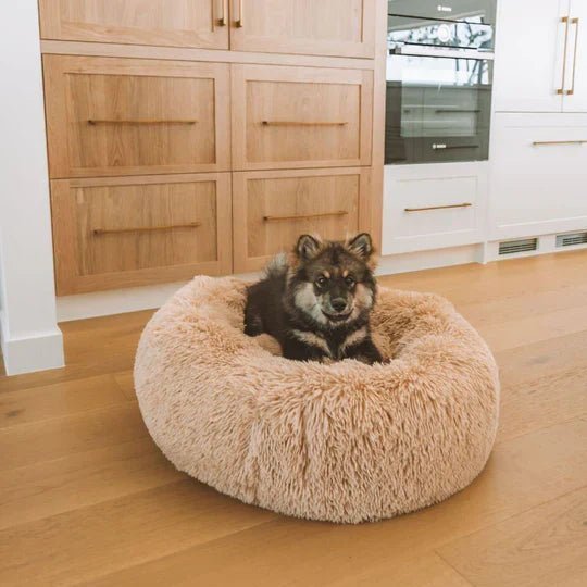 Calming Dog Bed & Cover Bundle