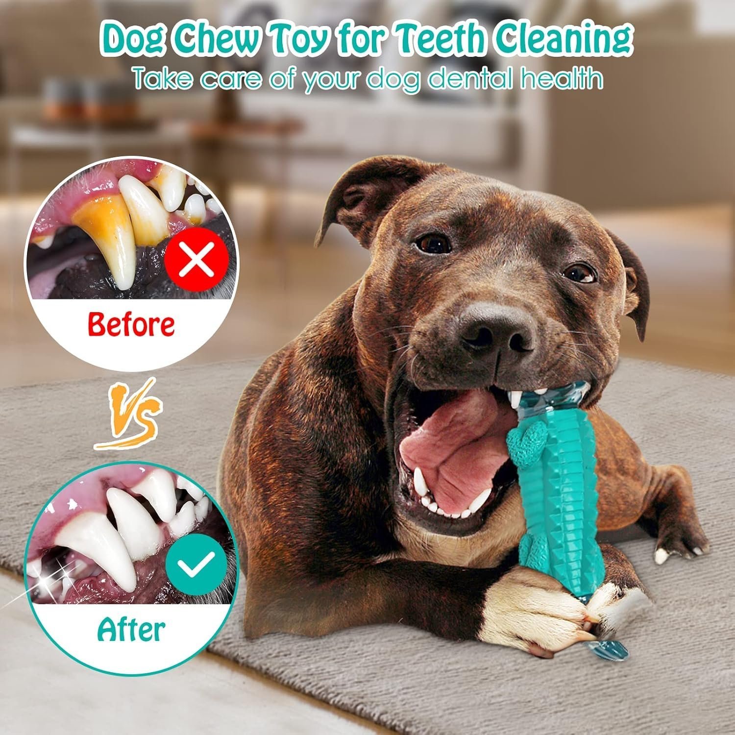 Dog Toys for Super Aggresive Chewers