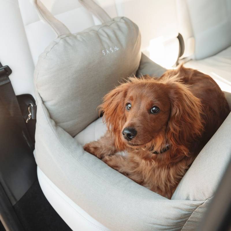 Premium Dog Car Bed